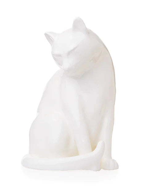 GATO BLANCO