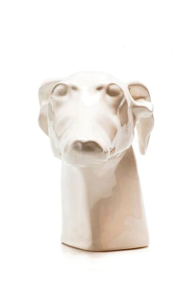 CABEZA DE GALGO DUNE BLANCA