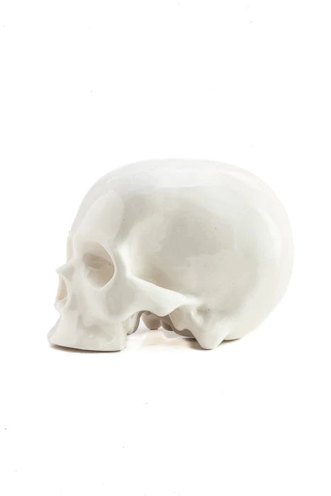 CALAVERA AVISPAS PEQUEÑA