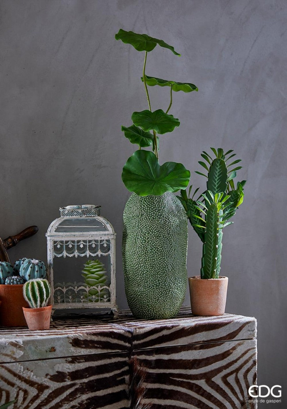 CACTUS MIX
