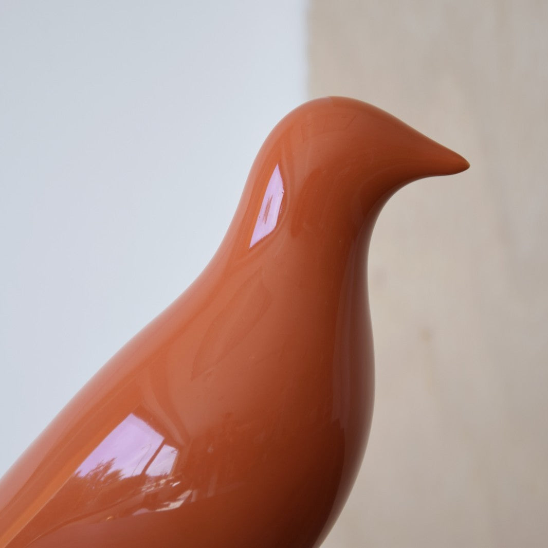 PÁJARO NARANJA BRILLO