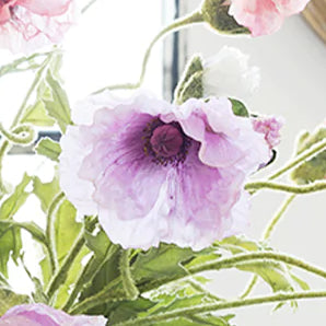 FLOR AMAPOLA