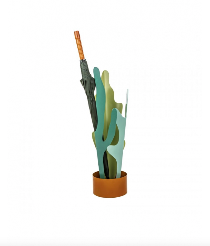 PARAGÜERO "RAIN PLANT"
