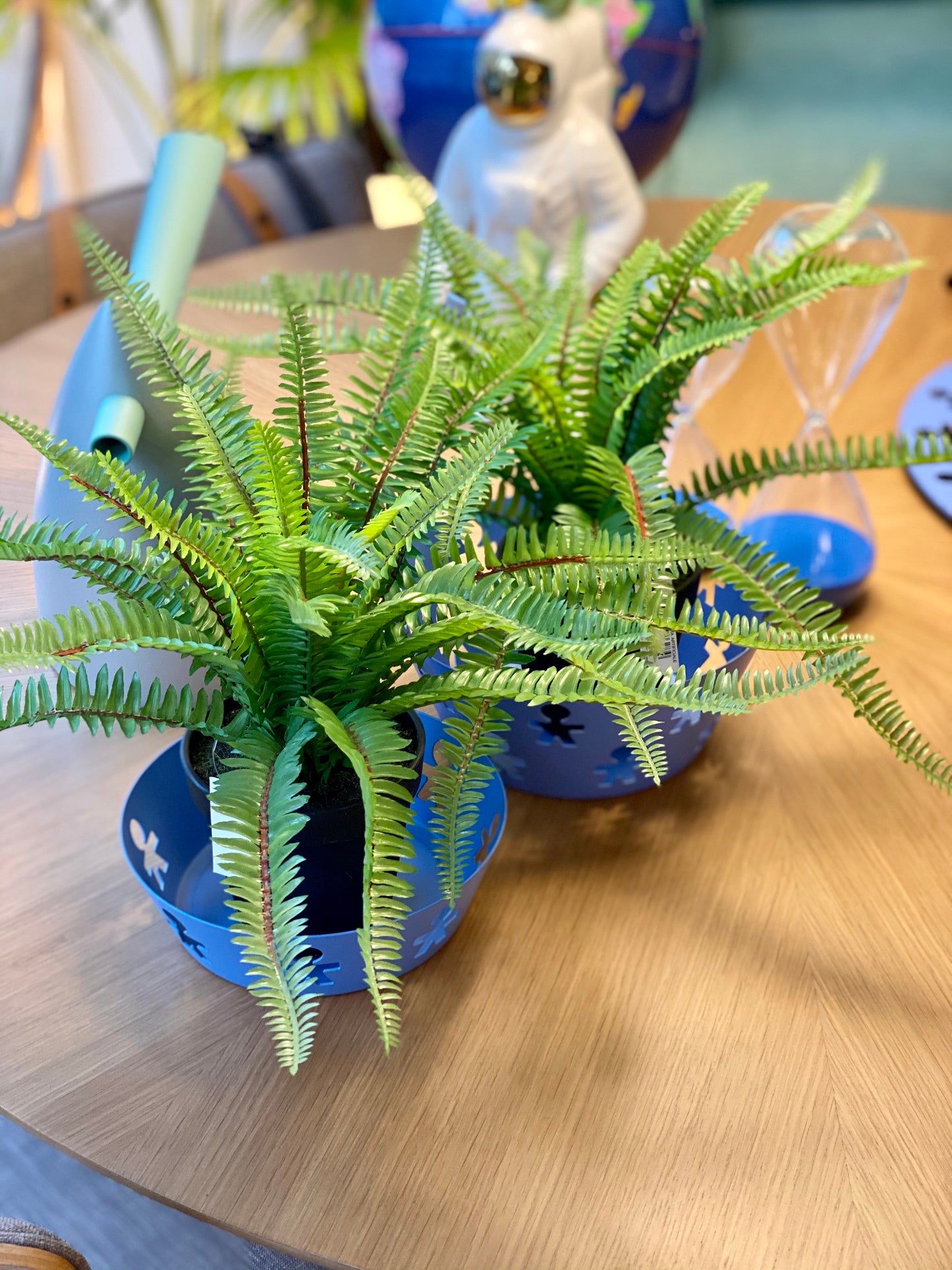 PLANTA FELCE WEST