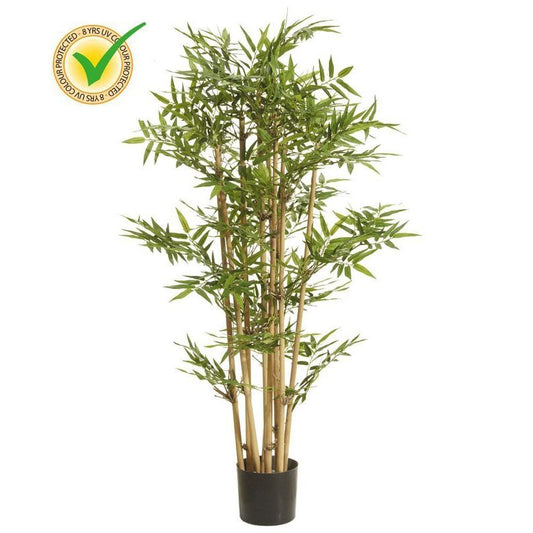 BAMBÚ CAÑA NATURAL 115