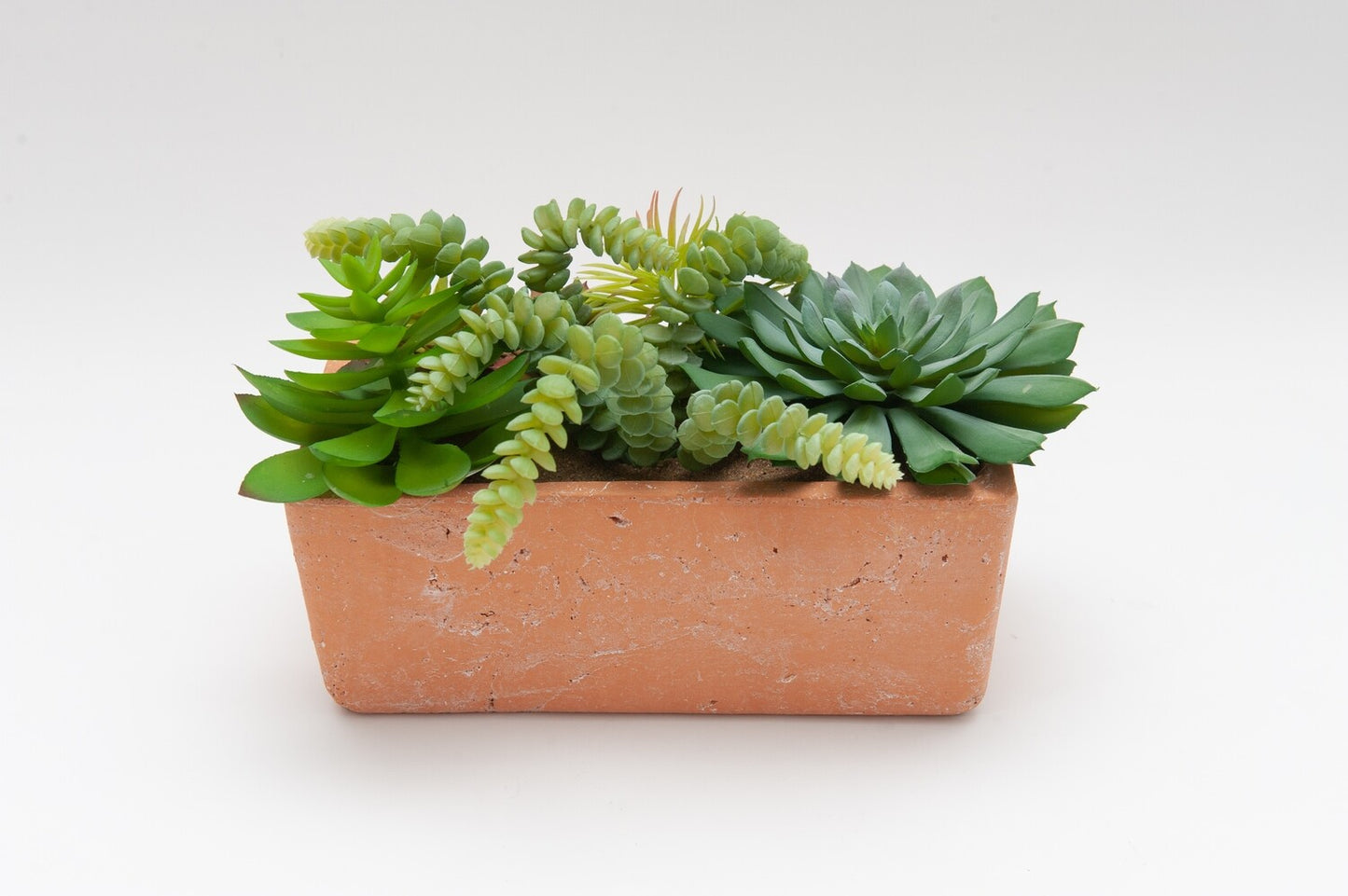 MACETERO RECTANGULAR CON SUCULENTAS