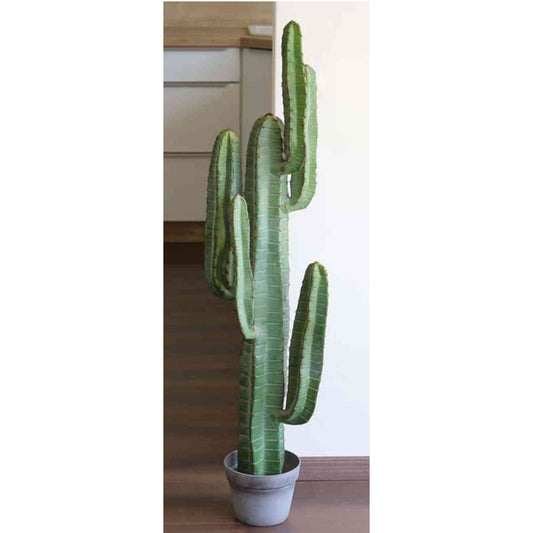 CACTUS COLUMNA PEQUEÑO