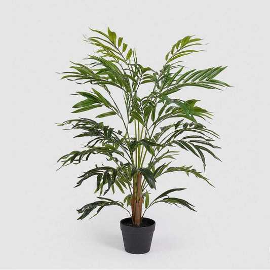 PALMA ARECA CHIC