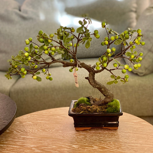 BONSAI